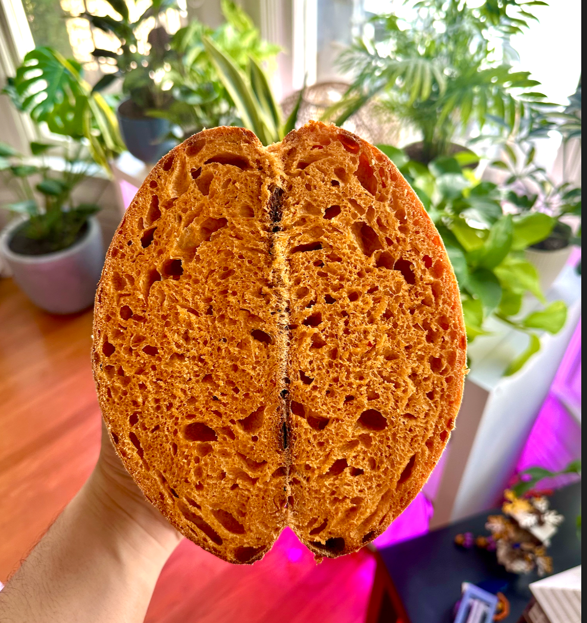 Sourdough test specimens: Pullman loaves